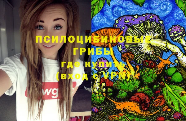 амфетамин Лабытнанги