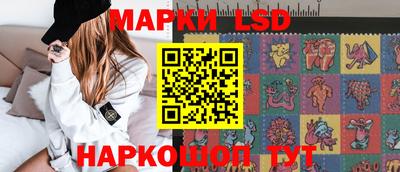 стаф Донецк